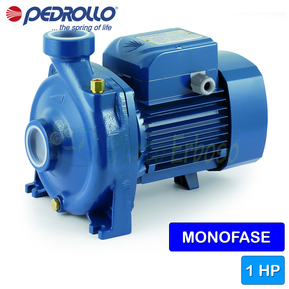 Pompa Centrifuga Pedrollo 4CPm 80-C 0,55KW Monofase - Elettropompa Multigirante Professionale - Foto 6