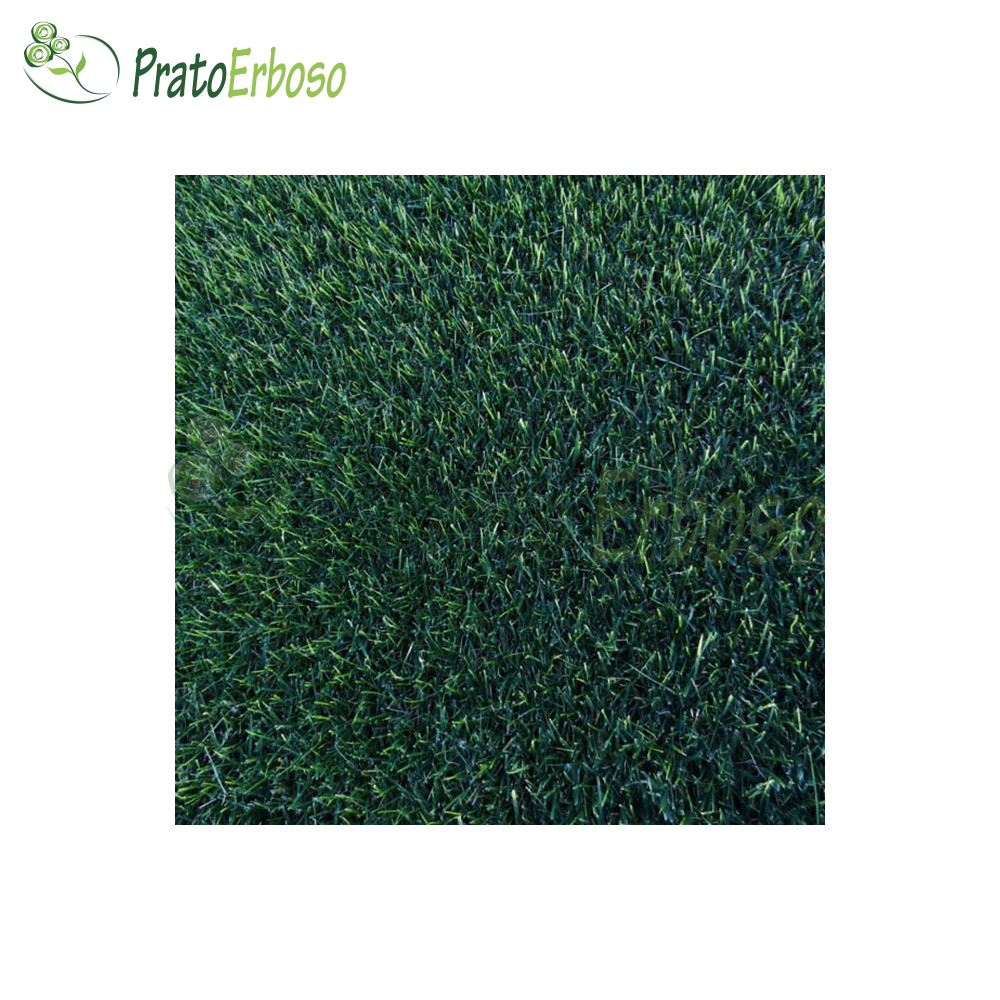 Prato ELEGANZA - Prato Erboso