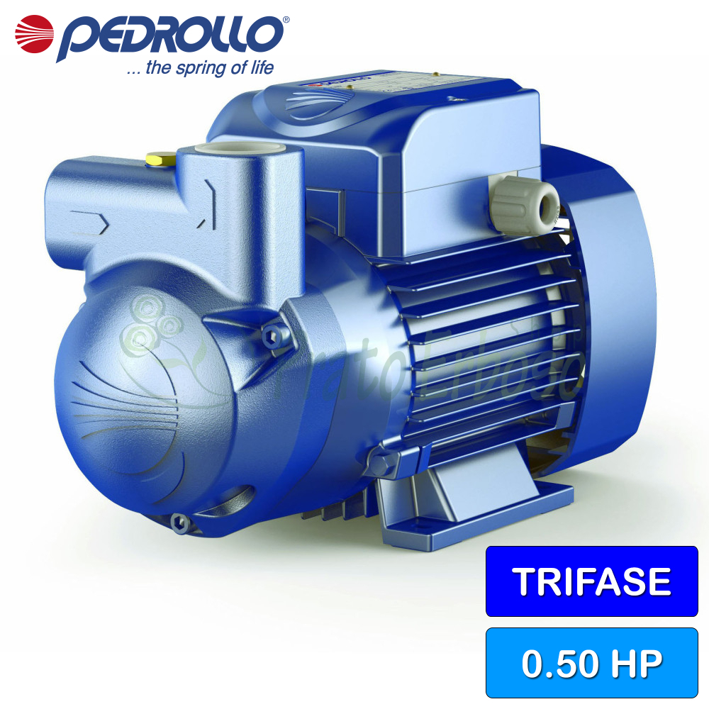 CK 50 Pumpe Selbstansaugend Fl ssigkeitsring phasig Pedrollo