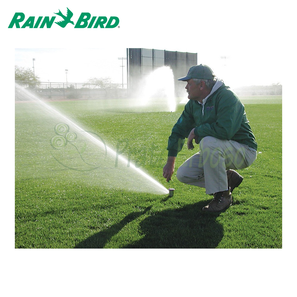 8005 - Rociadores ocultos gama de 24,7 metros - Rain Bird