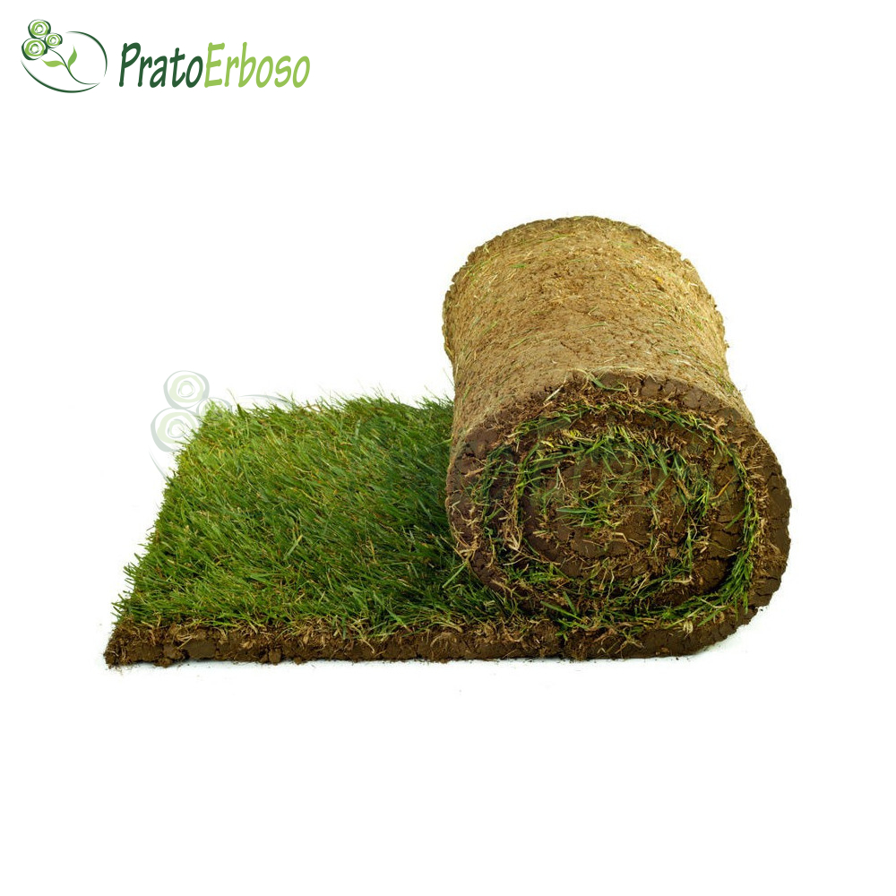 20 mètres carrés de pelouse en rouleaux Prato Erboso