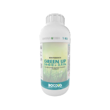 Concime liquido Green Up della Bottos