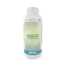 Concime liquido Iron 65 della Bottos