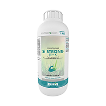 Fertilizante en polvo fuerte Bottos Si