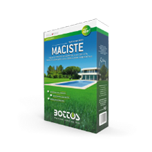 Semillas de Bottos Maciste