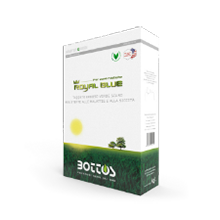 Semillas de Royal Blue de Bottos