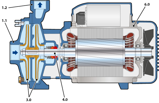 Cutaway pump 2CP