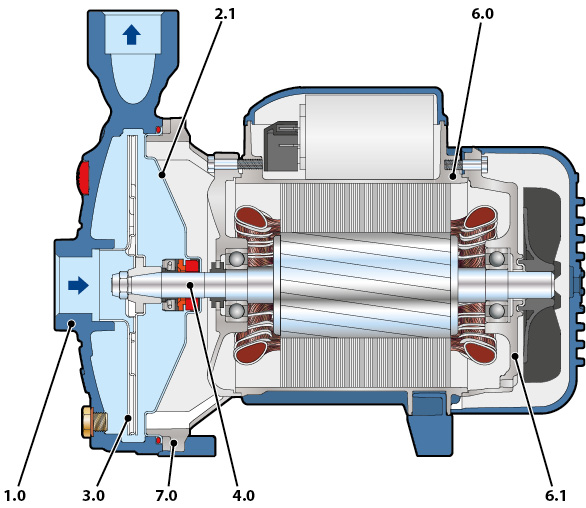 Section of the Pedrollo CP pump