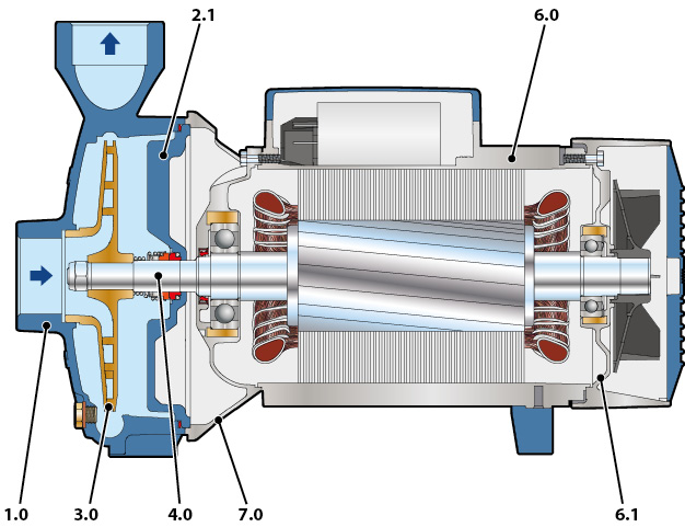 Section of the Pedrollo CP pump