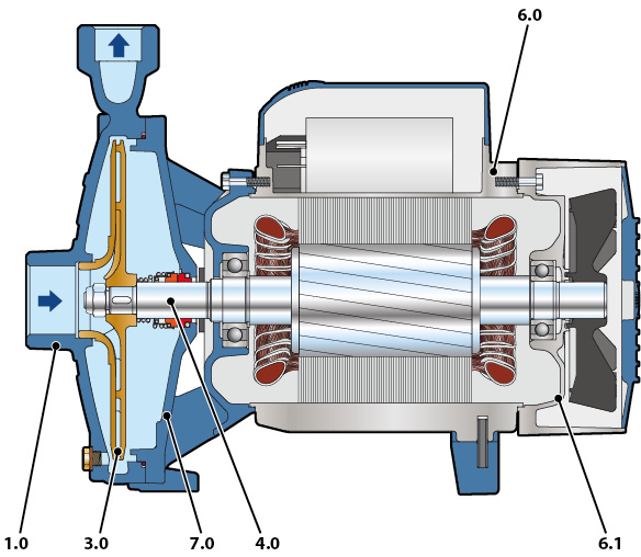 Section of the Pedrollo CP pump