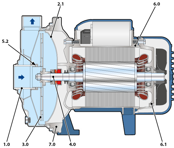 Section of the Pedrollo CP-ST4 pump