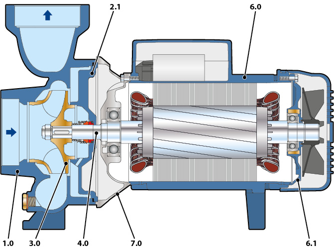Section of the Pedrollo HF high flow pump