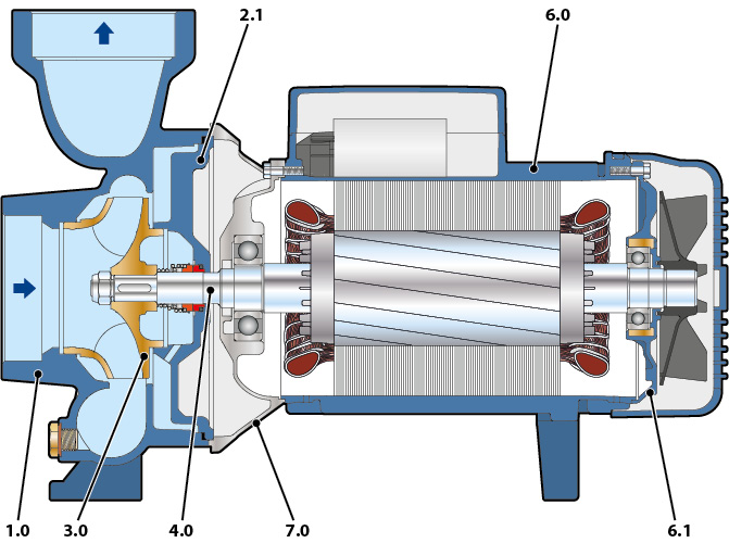 Coupe de la pompe haut débit Pedrollo HF 8B