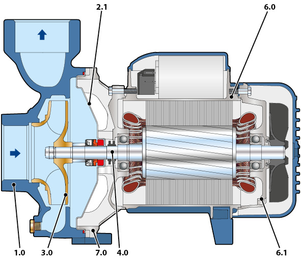 Section of the Pedrollo HF medium flow pump