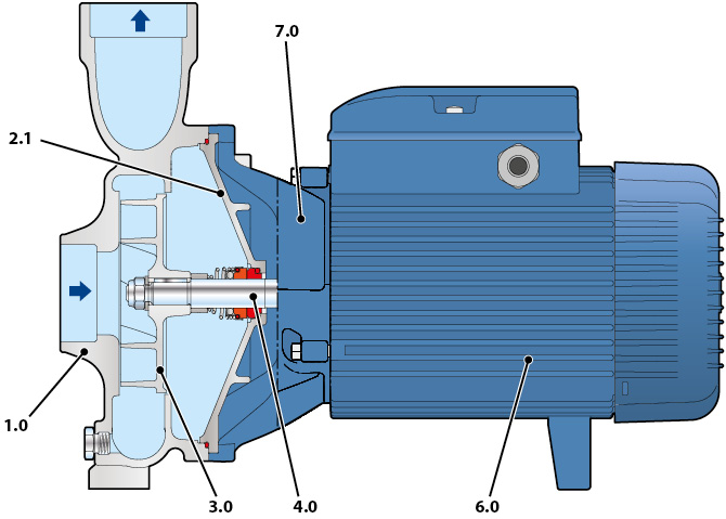 Section of the Pedrollo NGA-PRO pump