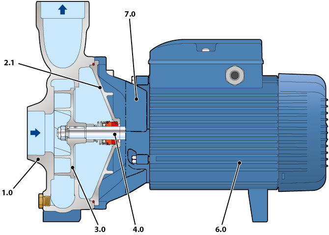 Section of the Pedrollo NGA pump