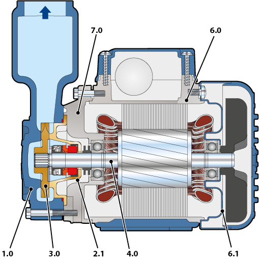 Section of the Pedrollo PKS pump