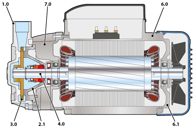 Section of the Pedrollo PQ 3000 pump