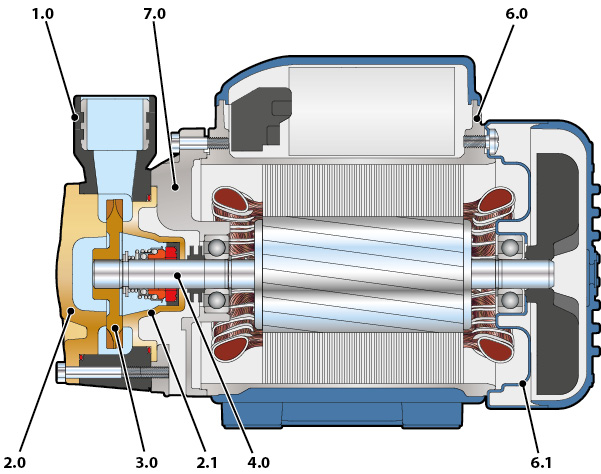 Section of the Pedrollo PQA pump