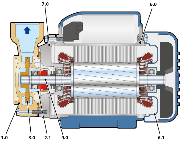 Section of the Pedrollo PQ-BS pump