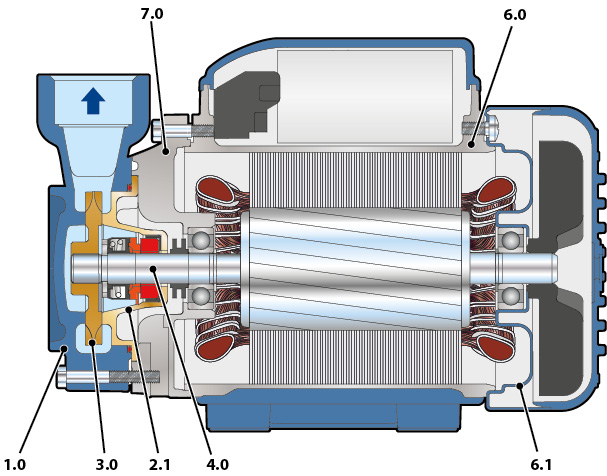 Section of the Pedrollo PQ-PRO pump