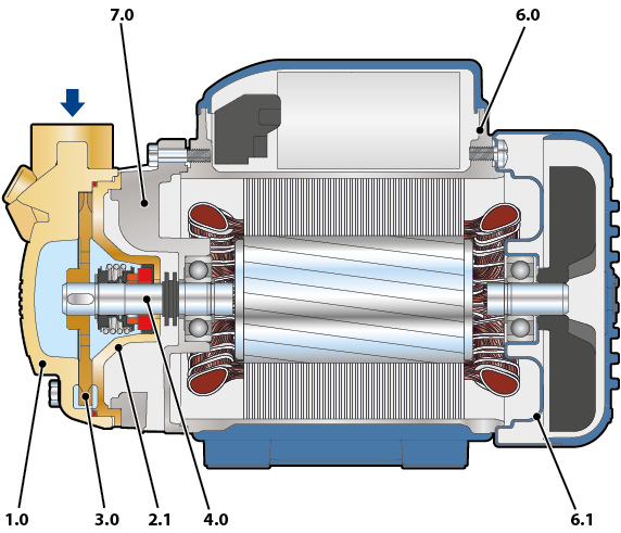 Section of the Pedrollo PV