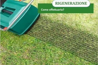 La régénération printanière de la pelouse. Comment faire?